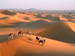 Dune-de-Merzouga-maroc.jpg