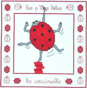 0107_coccinelle.JPG