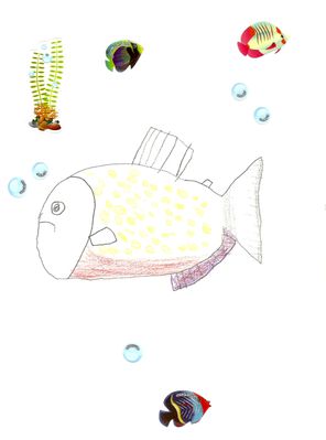 2014.11.09 dim-crayons-piranha rouge-aquarium Porte Dorée