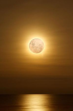 mer-soir-lune-458-copie-1.jpg