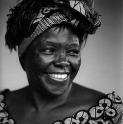 wangari3.jpg