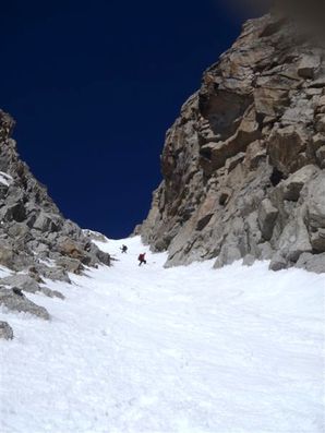 2011-04-20 chardonnet 11