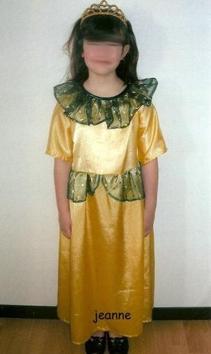 déguisement princesse