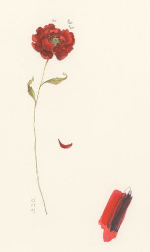 Fleur rouge001