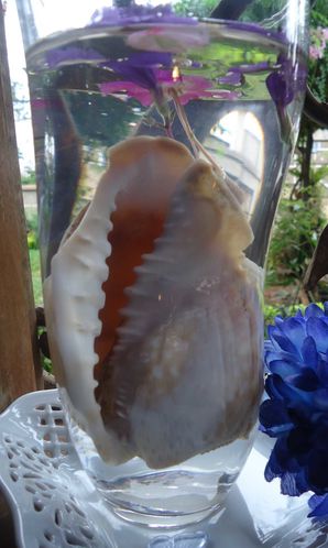 DSC01299
