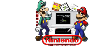 DS LINKER NINTENDO DS LINKER NINTENDO