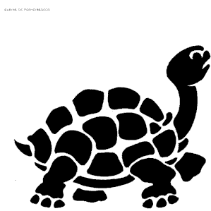tortue03
