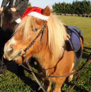 Ecquvilly-Marche-noel-2013 (49)