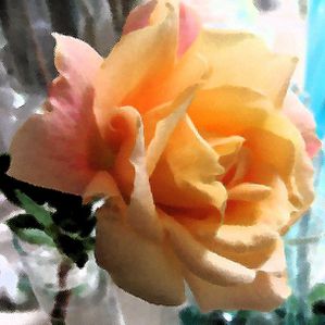 Rose wetpaper