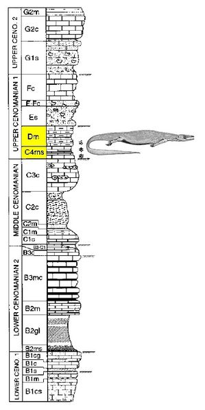 Carentonosaurus-mineaui2.jpg