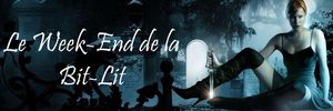 Le week-end de la bit-lit copie