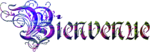 bienvenue-13.gif