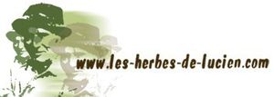 Concours les herbes de Lucien