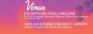 Exposition-Venus-Spacejunk-Xavier-Ride.jpg
