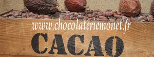 banniere-chocolaterie-monet-vente-de-chocolats-en-ligne.jpg