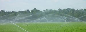 water.jpg