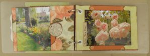 pages 3 4