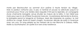 comite-lecture-6.png