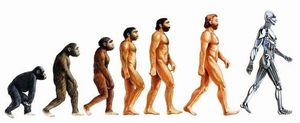 Evolution-homme-homo-sapiens.jpg