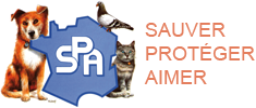 SPA PARIS logo