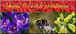images-copie-2.jpeg
