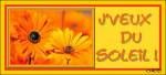 j-veux-deu-soleil.jpg