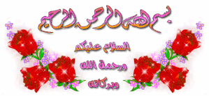 08120911432226NJ