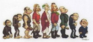 evolution-espece-humaine.jpg