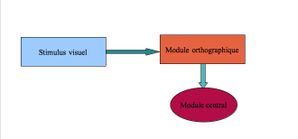 schema.jpg