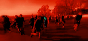Image-2-copie-2.png