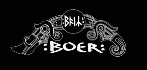 logo boer copy