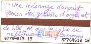 Yann-8