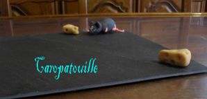 Plateau à fromage