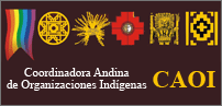logo caoi