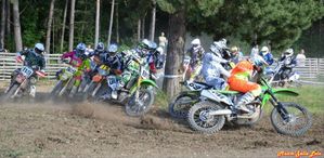 Yonne molosmes mickael 04