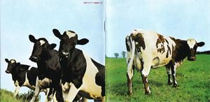 Pink-Floyd---Atom-Heart-Mother--Booklet---Front-.jpg