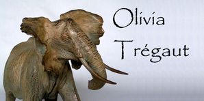 Olivia-tregaut-contact-blog.jpg