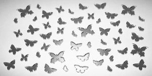 Invasion de mini papillons en miroir