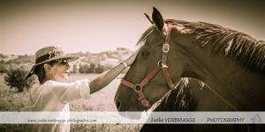 reve cheval 3012 (Medium)