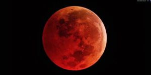 Ne pas louper la Lune de sang Lune