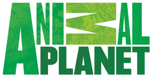 animal-planet-new-logo.png