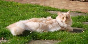 BALADE-PATRICIA-20110006.JPG