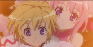 dd5.png