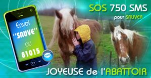 newsletter_sms2009_04.jpg
