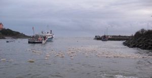 433 cr Galettes d'écume int port