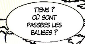 NBB-balises3.jpg