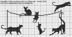 Chats sur fil à linge