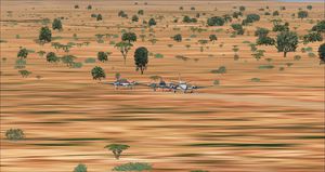 Australie 10 a