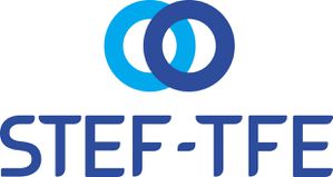 Logo-STEF-TFE.JPG