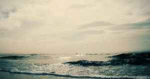 L'intrus du Golfo Nuevo ( Golfo_nuevo